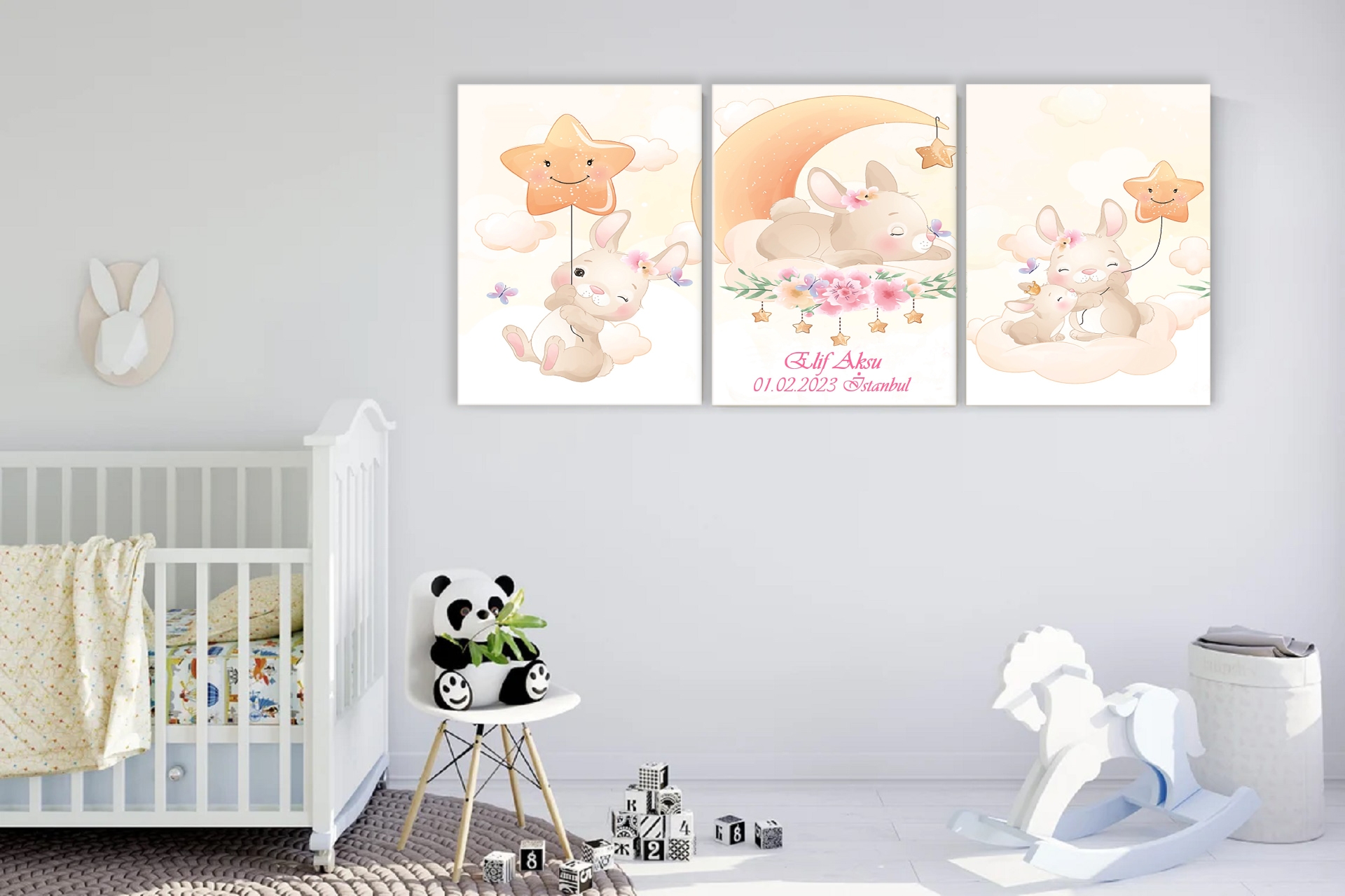Pınk Rabbıt Frank Ray Kanvas Set- 50X70 -1