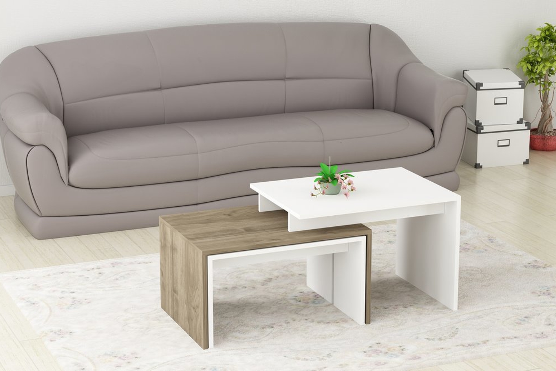 Arnetti Dilara Orta Sehpa Beyaz Ceviz Fiyati Vivense