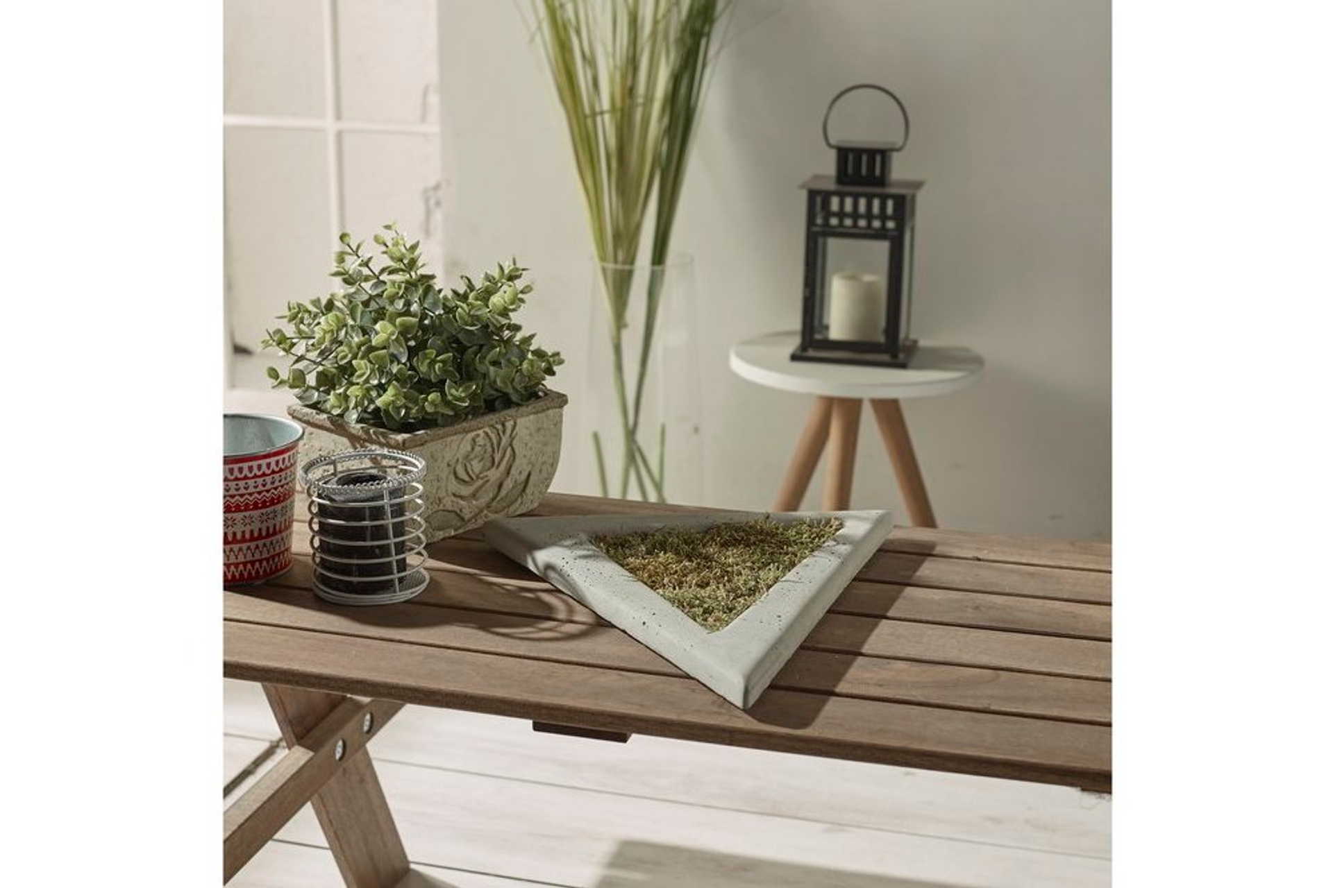 LİTLY BETON DUVAR BİTKİSİ VE DEKORU FİYATI Vivense