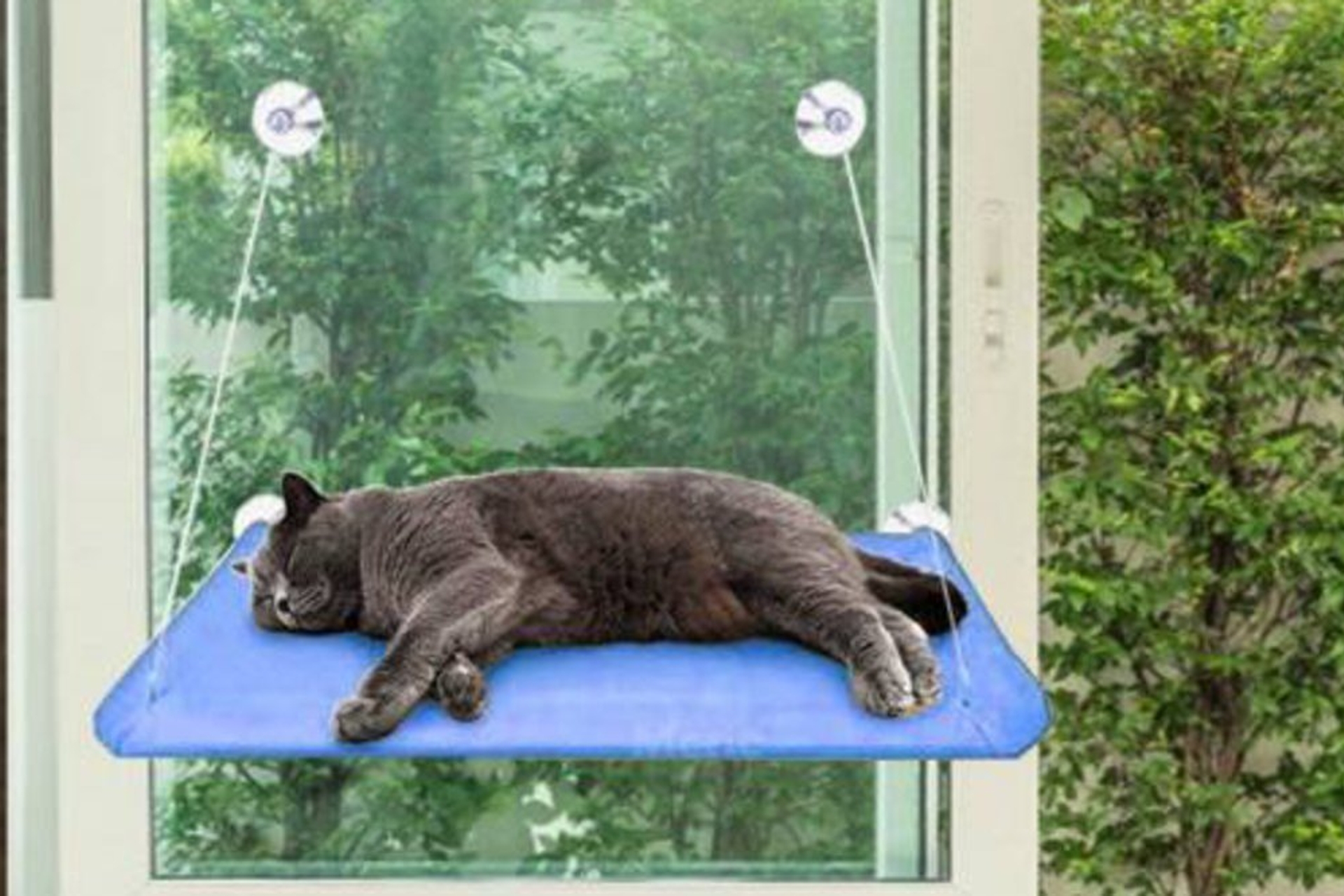 polar kumasli kilit vantuzlu cama asilan lux kedi yatagi mavi fiyati vivense