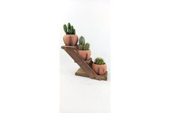 Terracotta Design Cactus Pot