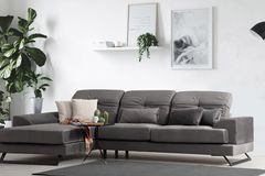 Frido Hoekbank Links, Antraciet