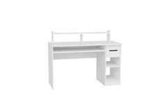 Arnetti Shari Bureau, Wit