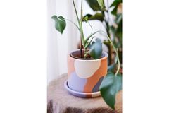 Terracotta Planter, Purple