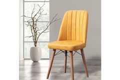 Nicasius Stoel, Geel