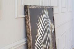 Zebra Art Print with Frame, Medium