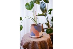 Terracotta Planter, Purple