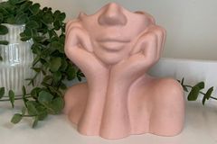 Lady Vaas, Roze