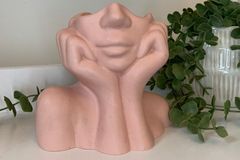 Lady Vaas, Roze