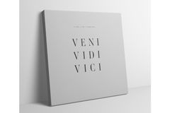 Veni Minimale Afbeelding Op Canvas, 70x70 cm