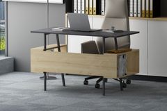 Lagomood Irony Bureau, Antraciet en Eik