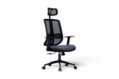 Minotti Directiestoel, Blauw