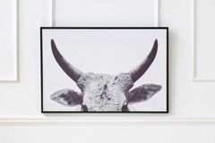 Horns Art Print with Frame