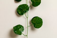 Faux Geranium Plant, Green