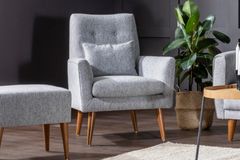 Zeny Fauteuil, Lichtgrijs