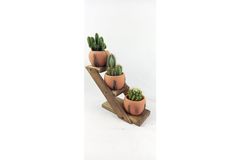 Terracotta Design Cactus Pot