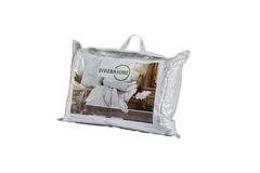 Martin Kussen Van Ganzendons, 50x70 cm