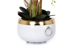Orchid Pot with Handle, Gold & White