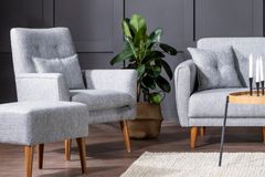 Zeny Fauteuil, Lichtgrijs