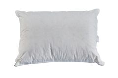 Martin Kussen Van Ganzendons, 50x70 cm