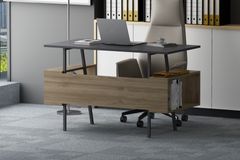 Lagomood Irony Bureau, Antraciet en Walnoot