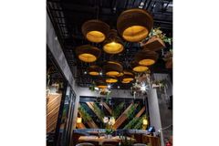 Arya Modern Pendant Light