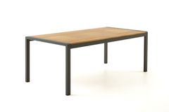 Daisy Tuinset, 8 Zits, Antraciet