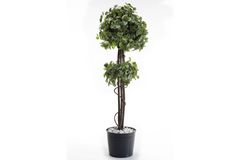 Fitonia Artificial Plant, 170 cm