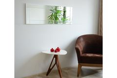 Neostyle Full Length Mirror, 40 x 120 cm, Silver