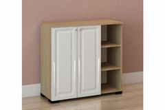 Penarth Multifunctionele Kast