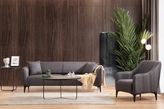 Bellisimo Fauteuil, Antraciet