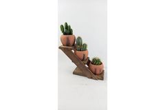 Terracotta Design Cactus Pot