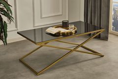 Venice Salontafel met Spiegel, Goud