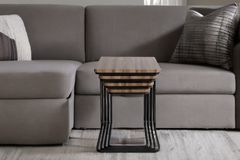 Vegas Zettafels met Zwarte Poten, Walnoot