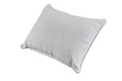 Martin Kussen Van Ganzendons, 50x70 cm