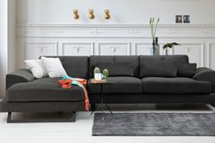 Frido Hoekbank Links, Antraciet