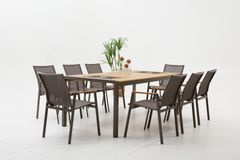 Daisy Tuinset, 8 Zits, Cappicino