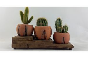 Terracotta Design Cactus Pot