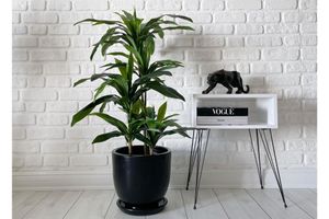 Odka Plant Pot, Black