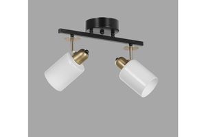 Nomi Glazen Hanglamp met 2 Lampjes, Zwart