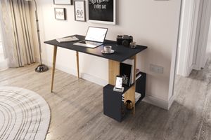 Lagomood Side Bureau