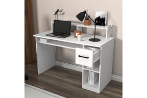 Arnetti Shari Bureau, Wit
