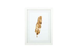 The Feather Art Print with Frame, Orange