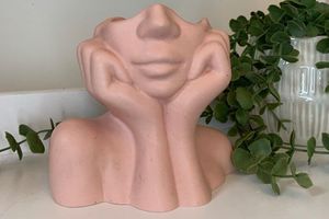 Lady Vaas, Roze