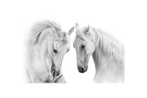Weiße Pferde Bild auf Leinwand