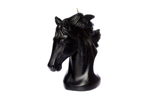 Pferd Große Kerze, Schwarz