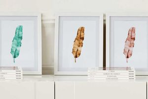 The Feather Art Print with Frame, Triptych