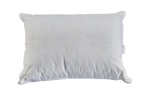 Martin Kussen Van Ganzendons, 50x70 cm