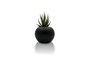 Makalu Artificial Succulent