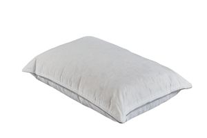 Martin Kussen Van Ganzendons, 50x70 cm